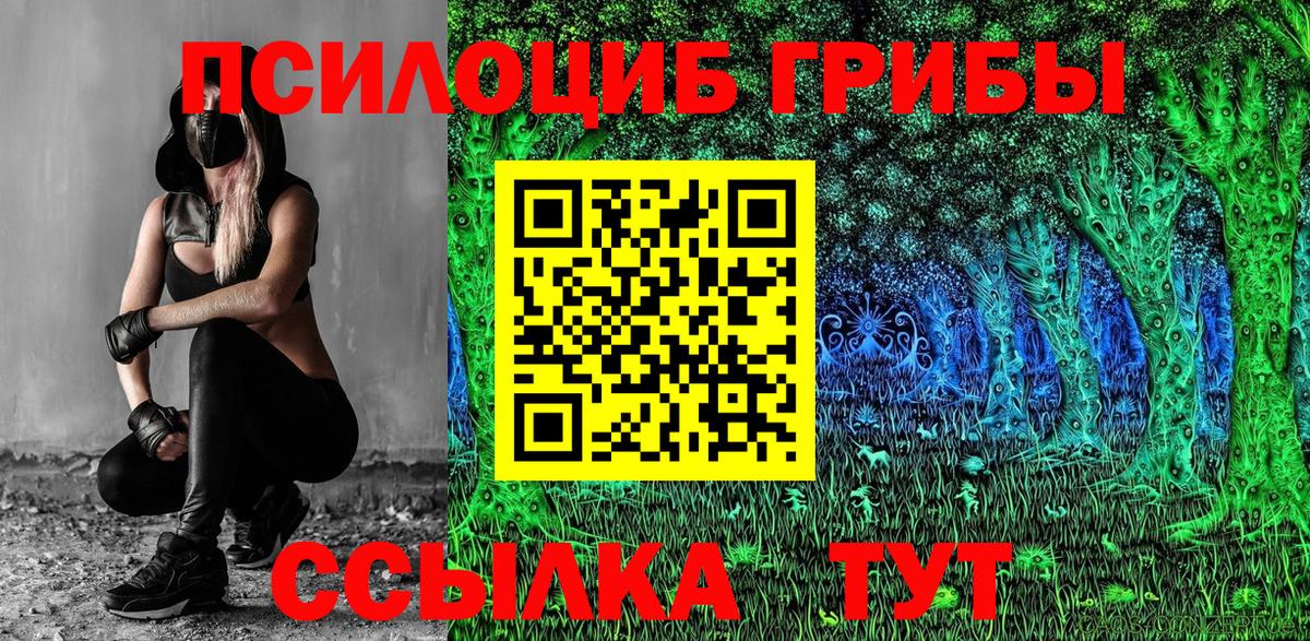 Псилоцибиновые грибы Magic Shrooms Ногинск