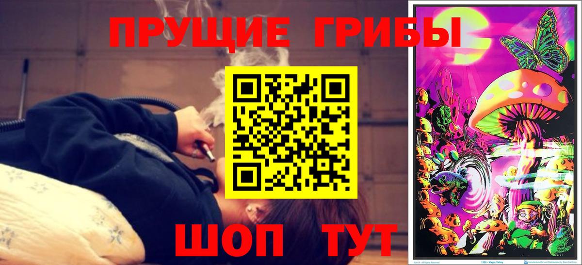 Ногинск  Галлюциногенные грибы Magic Shrooms  Вход с VPN 